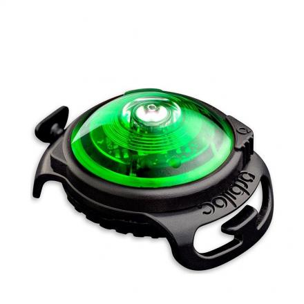 Orbiloc LED-Sicherheitslicht - Grün
